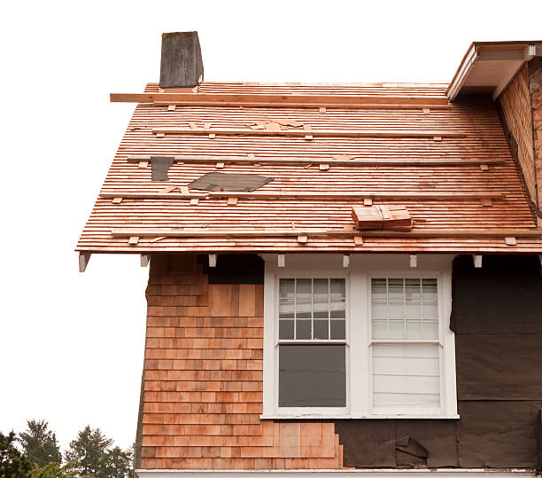 Best Storm Damage Siding Repair  in Markham, IL